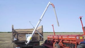Транспортеры зерна: как обеспечить эффективную перегрузку зерна