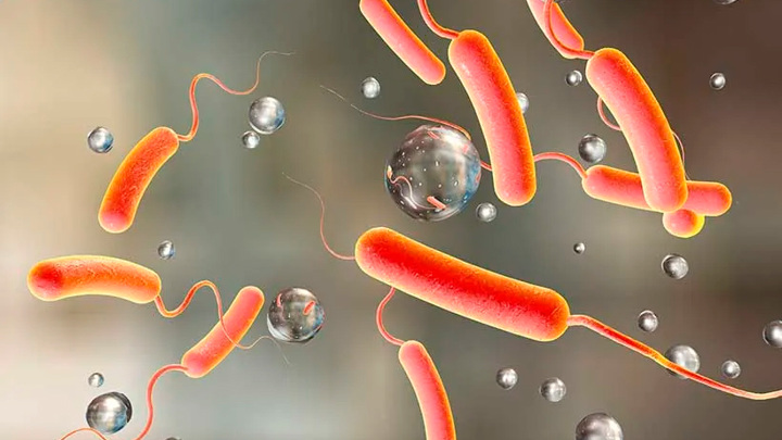 Главврач Домодедовской больницы рассказал о первом случае заражения холерой в МО - Новости на Вести.ru