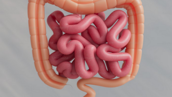 Самые полезные продукты для кишечника - Новости на Вести.ru