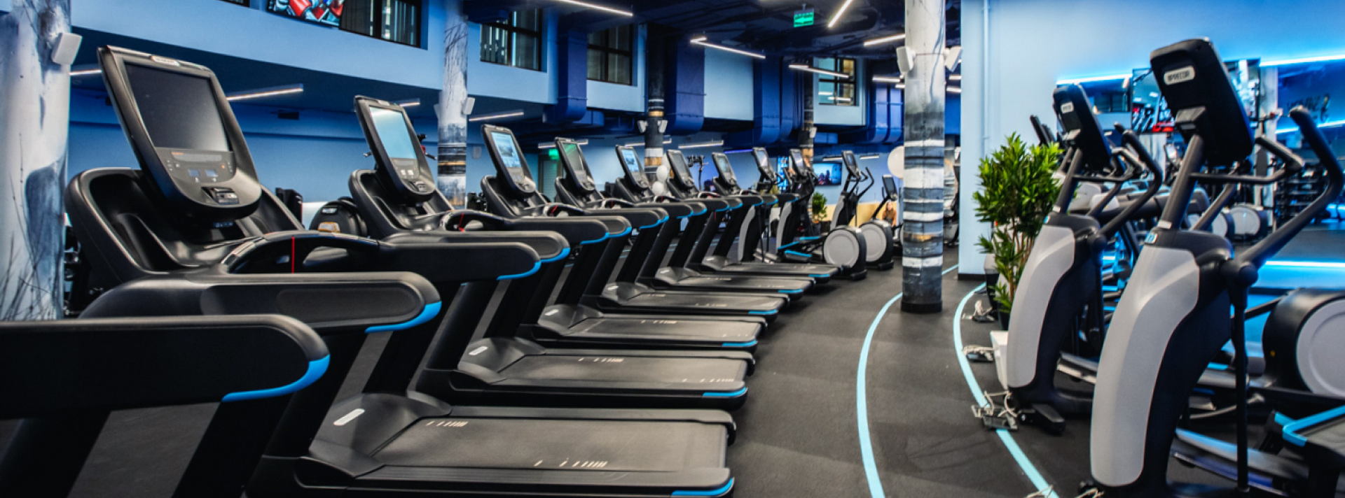 Тренировки в зале: больше, чем просто физическая нагрузка