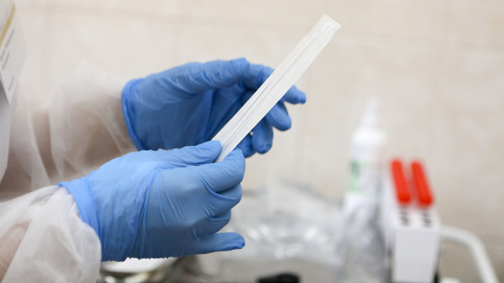 Роспотребнадзор: подтвержден второй случай лихорадки чикунгунья в России - Новости на Вести.ru