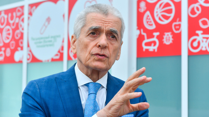 Онищенко: птичий грипп штамма H5N5 не перейдет на людей - Новости на Вести.ru