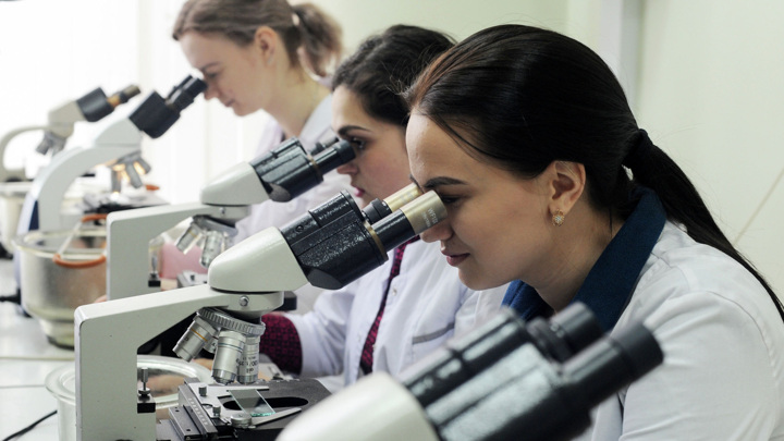 Ученые из России рассказали о разработке "часов возраста" - Новости на Вести.ru