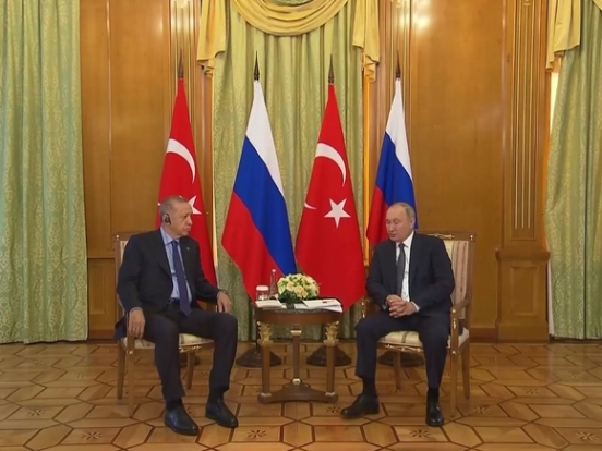 FT узнала о беспокойстве стран Запада из-за сближения Турции и России