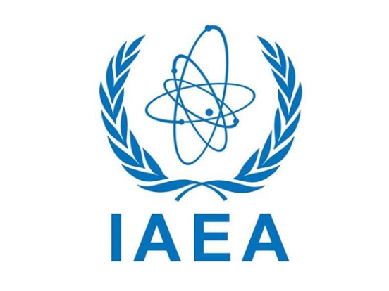 Глава МАГАТЭ заявил о критической ситуации в электроснабжении ЗАЭС