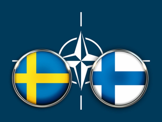 Глава МИД Финляндии попросил не затягивать с принятием страны в НАТО