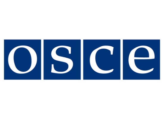 Главы МИД стран Балтии бойкотируют заседание ОБСЕ из-за Лаврова