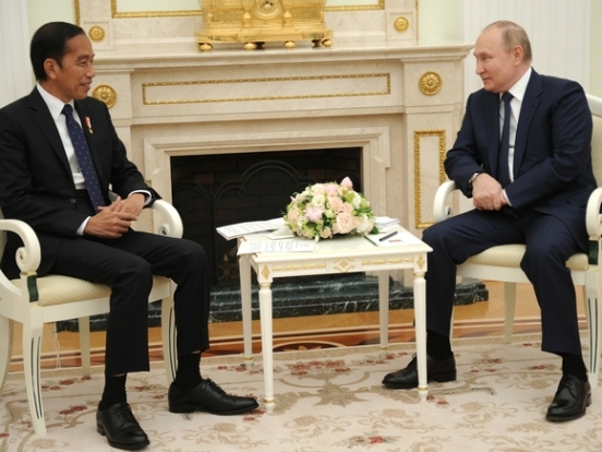 Президент Индонезии заявил, что Путин собирается приехать на саммит G20 на Бали