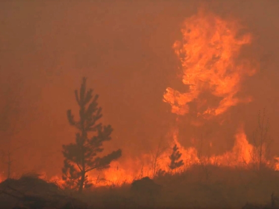 Президент Канарских островов назвал поджог причиной мощных лесных пожаров на Тенерифе