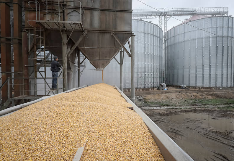 Украинское зерно поставили на паузу